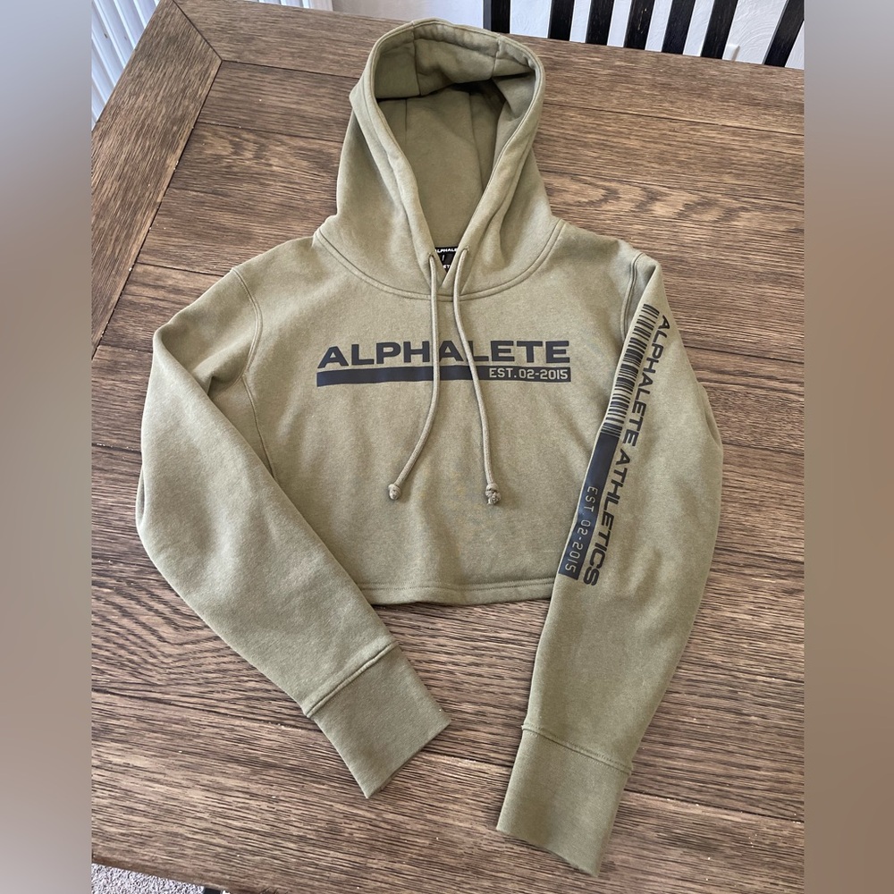 Alphalete Crop Hoodie